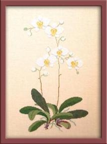 Fremme Stickpackung - Orchideen 40x50 cm