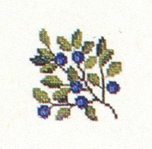 Fremme Stickpackung - Blaubeeren