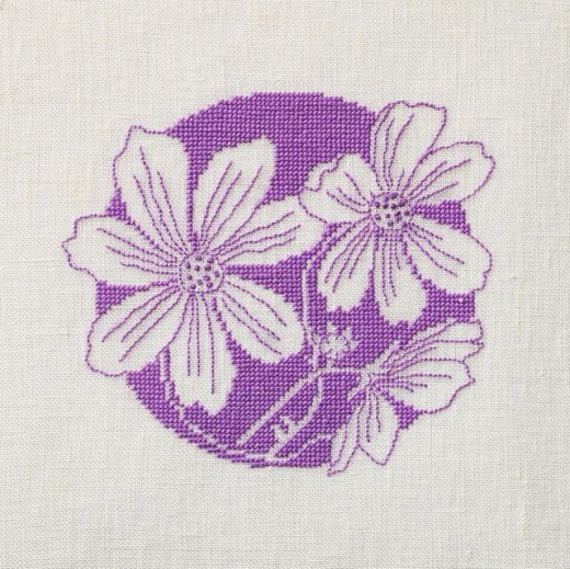 Fremme Stickpackung - Cosmea