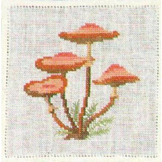 Stockschwämmchen - Haandarbejdets Fremme (Stickpackung)