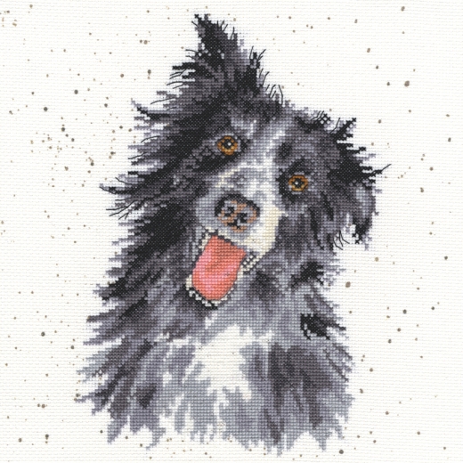 Collie - Bothy Threads Hannah Dale (Stickpackung)