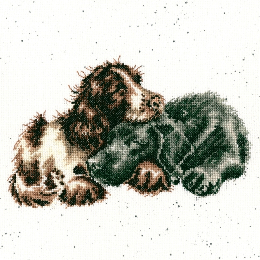 Growing Old Together - Bothy Threads Hannah Dale (Stickpackung)
