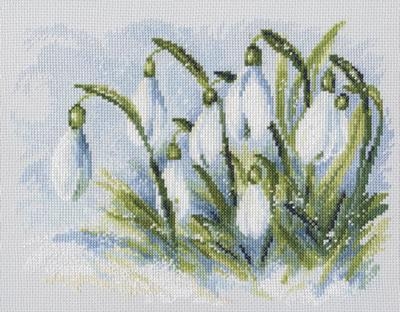 RTO - Early Snowdrops