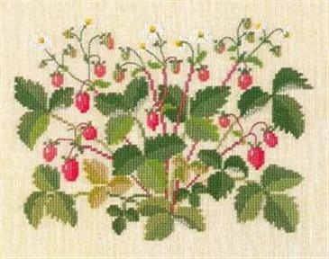 Fremme Stickpackung - Wilde Erdbeeren