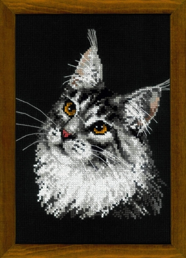 Riolis - Stickbild Maine Coon