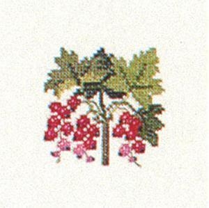 Fremme Stickpackung - Johannisbeeren