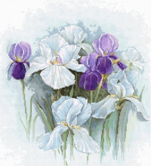 Stickpackung Luca-S - Irises 28x31 cm