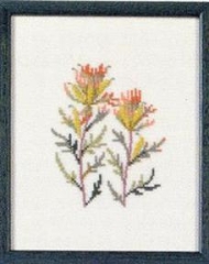 Fremme Stickpackung - Indian Paint Brush Wyoming 17x21 cm