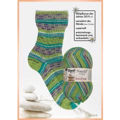 Opal Beauty Balance 4-fach - Selbsterkenntnis (11404)