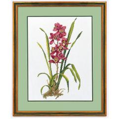 Stickpackung Eva Rosenstand - Rote Orchideen 40x50 cm