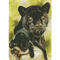 Kustom Krafts - Spirit Of The Black Leopard