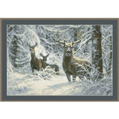 Kustom Krafts - Winter Lace