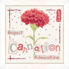 Lilipoints - Carnation