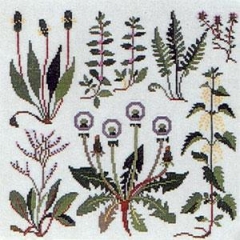 Fremme Stickpackung - Wildblumen
