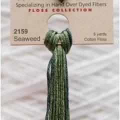 Seaweed - Weeks Dye Works Hand Dyed Floss
