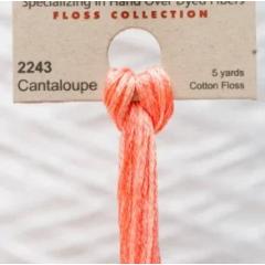 Cantaloupe - Weeks Dye Works Hand Dyed Floss