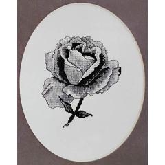 Xs and Ohs - Black Rose
