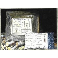 The Primitive Hare - Proverbs 17:17 & 18:22