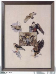 Oehlenschläger Stickpackung - Sampler Raubvögel