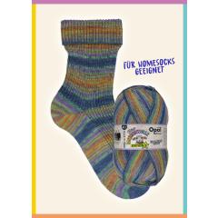 Opal Feine Merinowolle 4-fach - warm (11634)