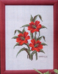 Stickpackung Oehlenschläger - Amaryllis 33x43 cm