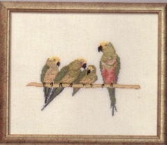 Stickpackung Oehlenschläger - Papageien 29x35 cm