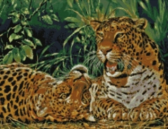 Stickvorlage Kustom Krafts - Playful Leopards