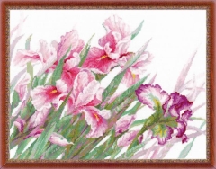 Riolis Stickpackung - Flowers in Pink