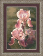 Stickvorlage Kustom Krafts - Sunlit Irises