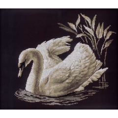 RTO - Swan
