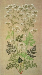 Haandarbejdets Fremme - Wilder Kerbel