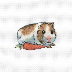 RTO Stickpackung - Cavy with Carrot 10x10 cm