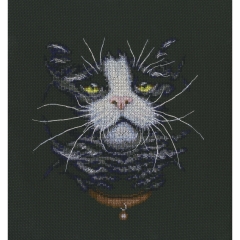 RTO - Cats Favourite
