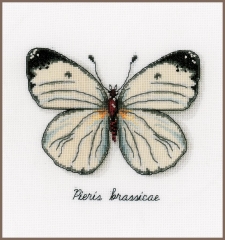 Vervaco Verachtert - Stickbild LVM Weißer Schmetterling