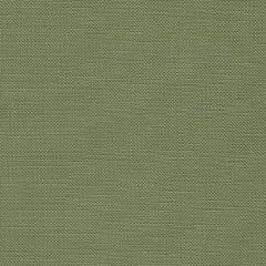 Zweigart Edinburgh Leinen 36ct - Farbe 6018 agave (Meterware)