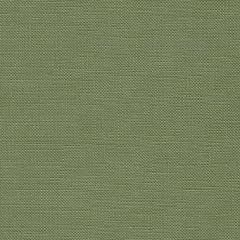 Zweigart Edinburgh Meterware 36ct - Farbe 6018 agave