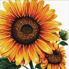 Stickpackung Needleart World - Sunflower
