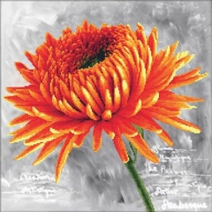 Stickpackung Needleart World - Orange Dahlia