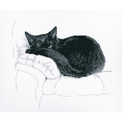 RTO Stickbild Among Black Cats 27x23,5 cm