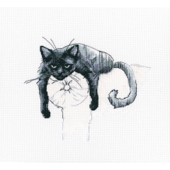 RTO - Among Black Cats