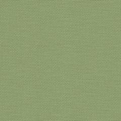 Zweigart Aida 20ct - Farbe 6016 moosgrün (Meterware)