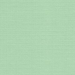 Aida 20ct Zweigart - Farbe 6092 bambusgrün (Meterware)