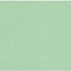 Aida Extra Fine 20ct Zweigart - Farbe 6092 bambusgrün (Precut 48x53 cm)