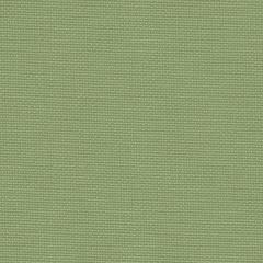 Zweigart Aida Meterware 20ct - Farbe 6016 mossy green