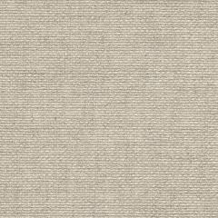 Zweigart Leinen-Aida 18ct - Farbe 11 natur-iriseé (Meterware)