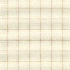 Zweigart Aida Easy Count Grid 14ct - Farbe 2199 (Meterware)