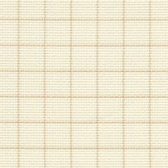 Zweigart Aida Easy Count Grid Meterware 14ct - Farbe 2199