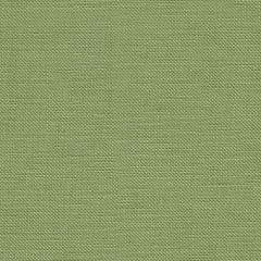 Zweigart Belfast Leinen 32ct - Farbe 6016 moosgrün (Meterware)