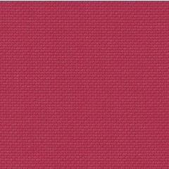 Stern-Aida 14ct Zweigart - Farbe 9020 himbeerpink (Precut 48x53 cm)