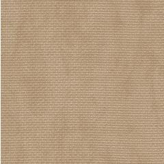 Zweigart Stern-Aida 14ct - Farbe 3009 vintage milchkaffee (Meterware)